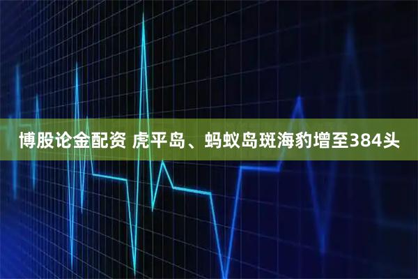 博股论金配资 虎平岛、蚂蚁岛斑海豹增至384头